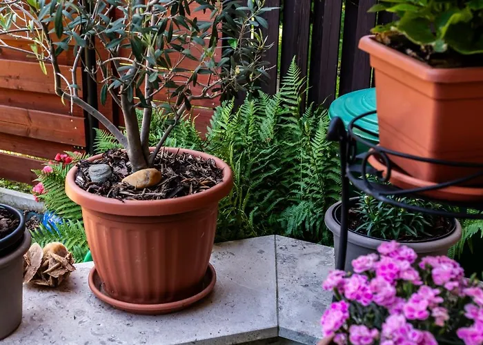 Flower Casa vacanze *